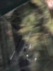 20110324213813.jpg